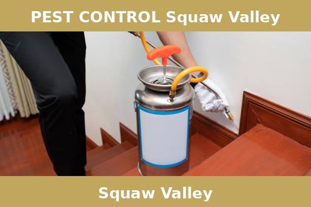 PEST CONTROL Squaw Valley